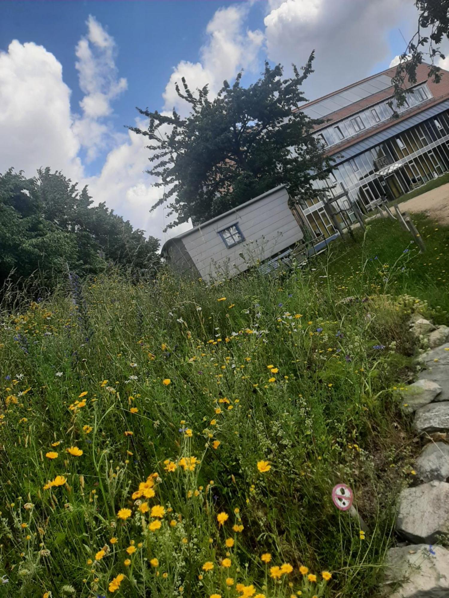 Saechsische Bildungs- Und Begegnungsstaette Windmuehle Seifhennersdorf Hotel Luaran gambar